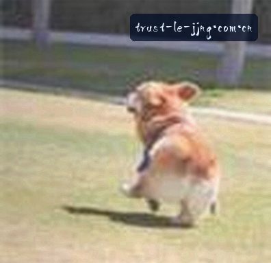王磊